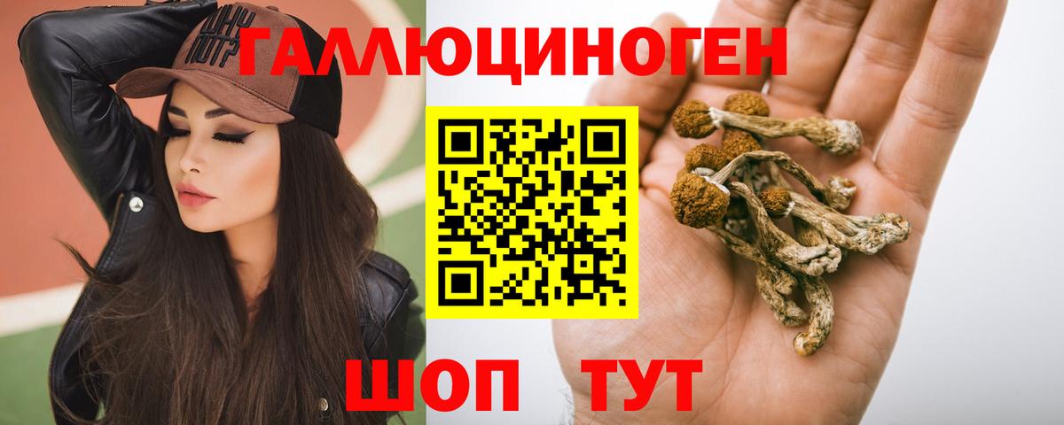 Галлюциногенные грибы Psilocybine cubensis  Вход с VPN  Похвистнево  Галлюциногенные грибы MAGIC MUSHROOMS 